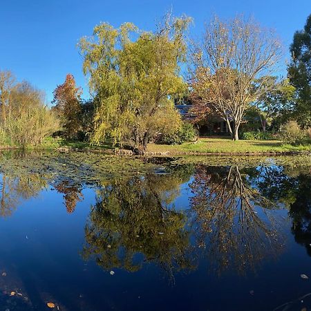 Holly Lane Mews Motell Yarra Glen Exteriör bild