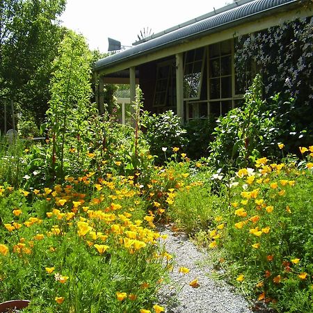 Holly Lane Mews Motell Yarra Glen Exteriör bild