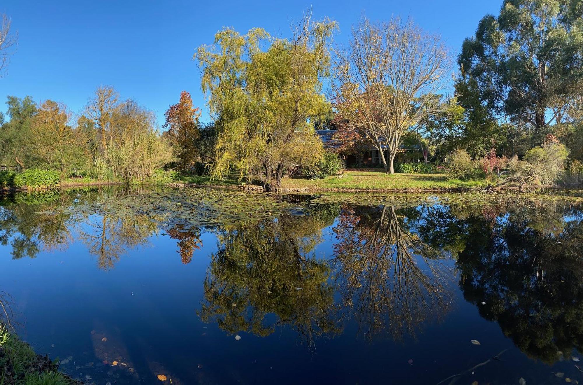 Holly Lane Mews Motell Yarra Glen Exteriör bild