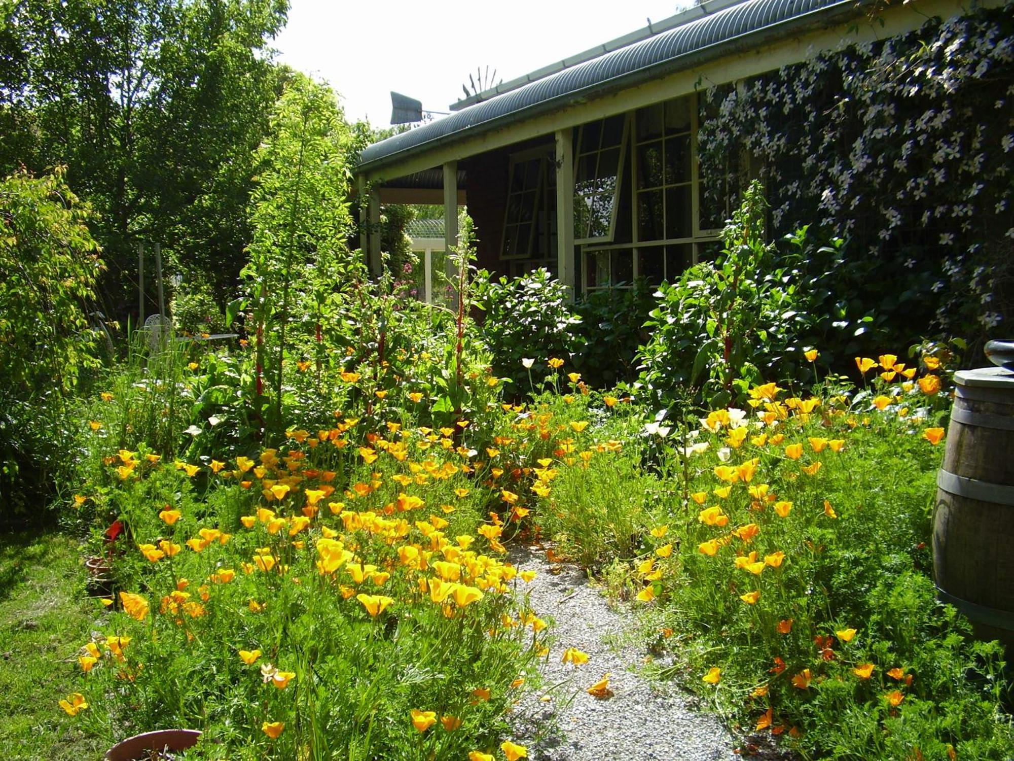 Holly Lane Mews Motell Yarra Glen Exteriör bild