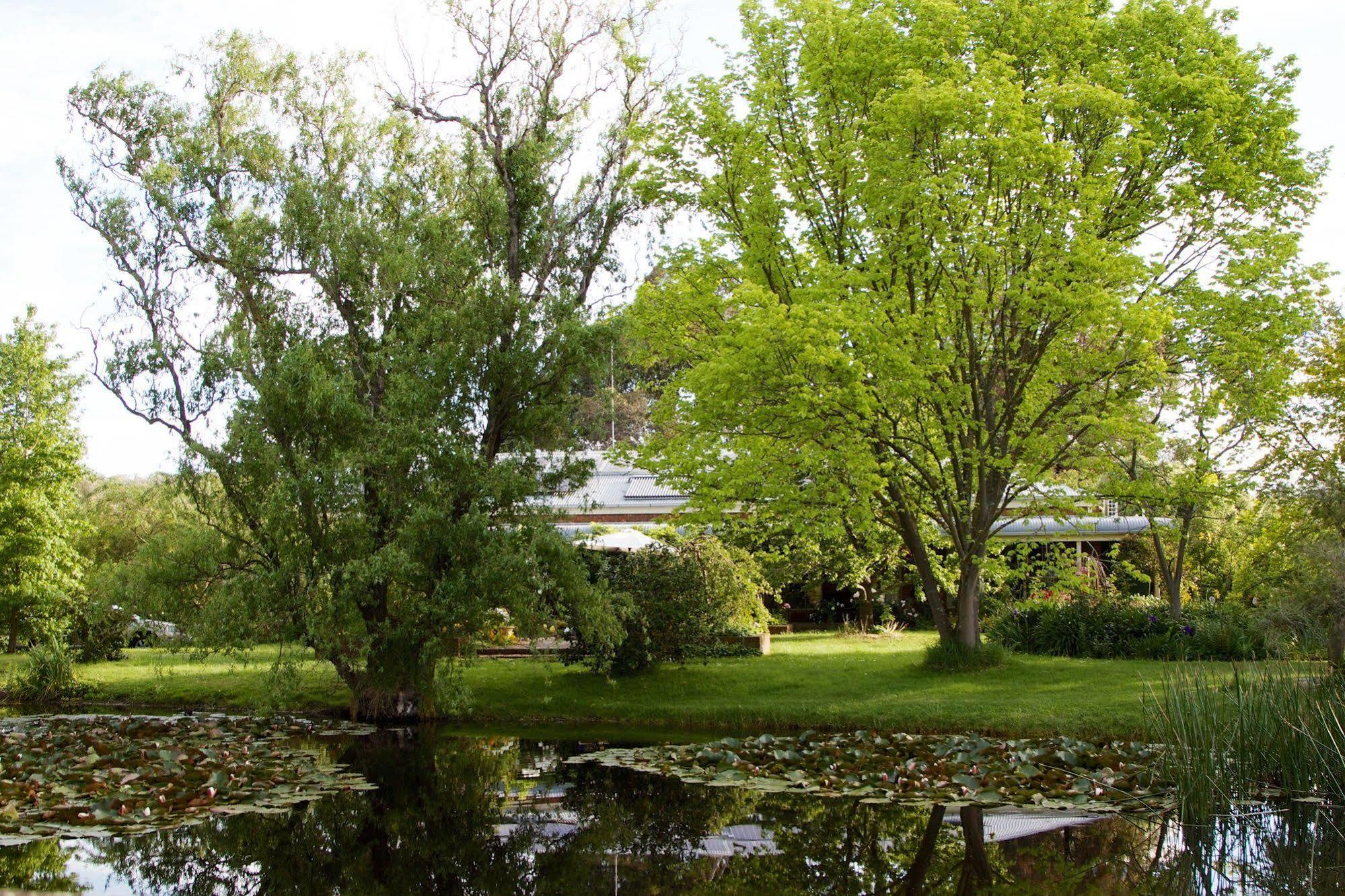 Holly Lane Mews Motell Yarra Glen Exteriör bild