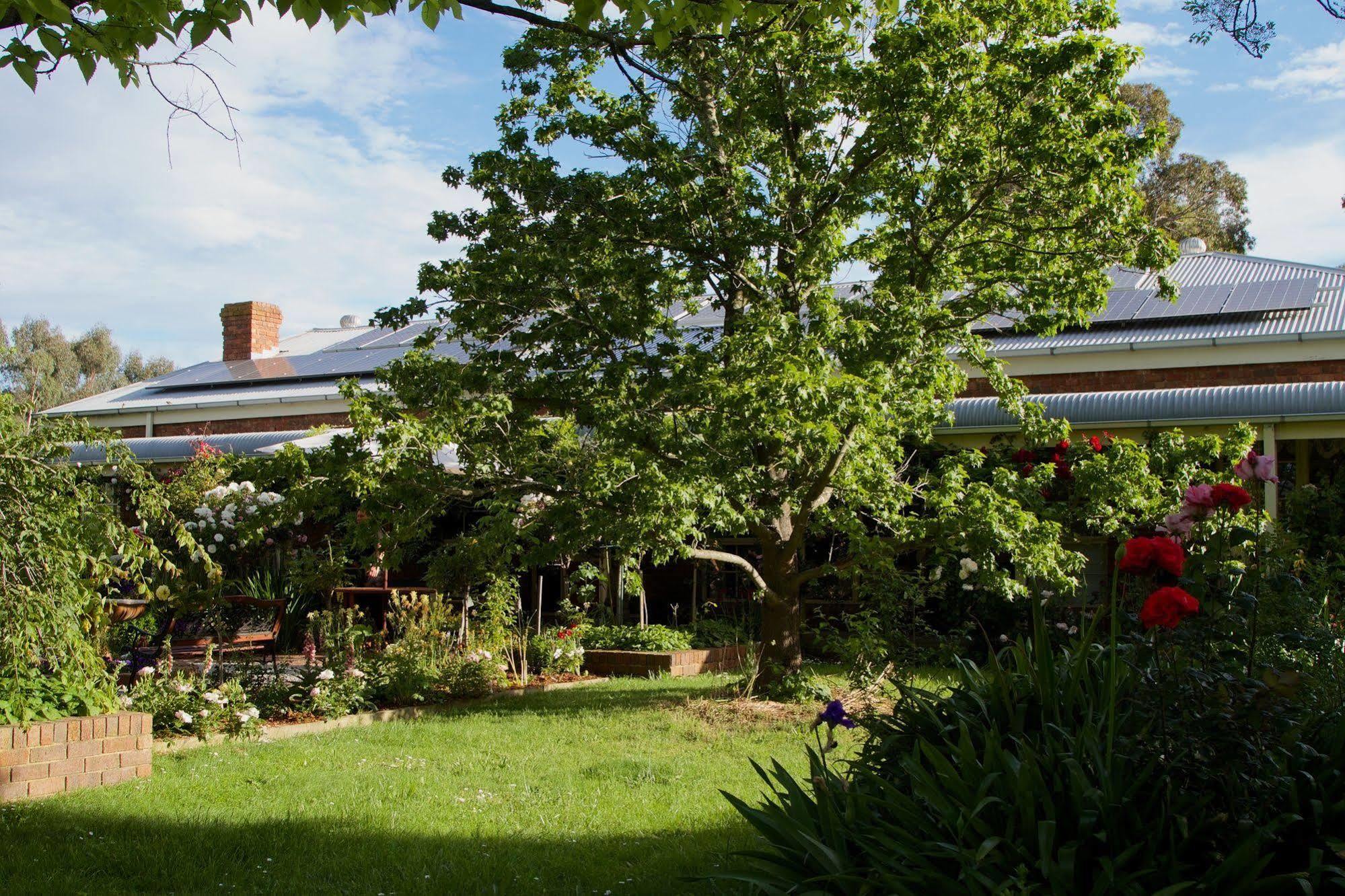 Holly Lane Mews Motell Yarra Glen Exteriör bild