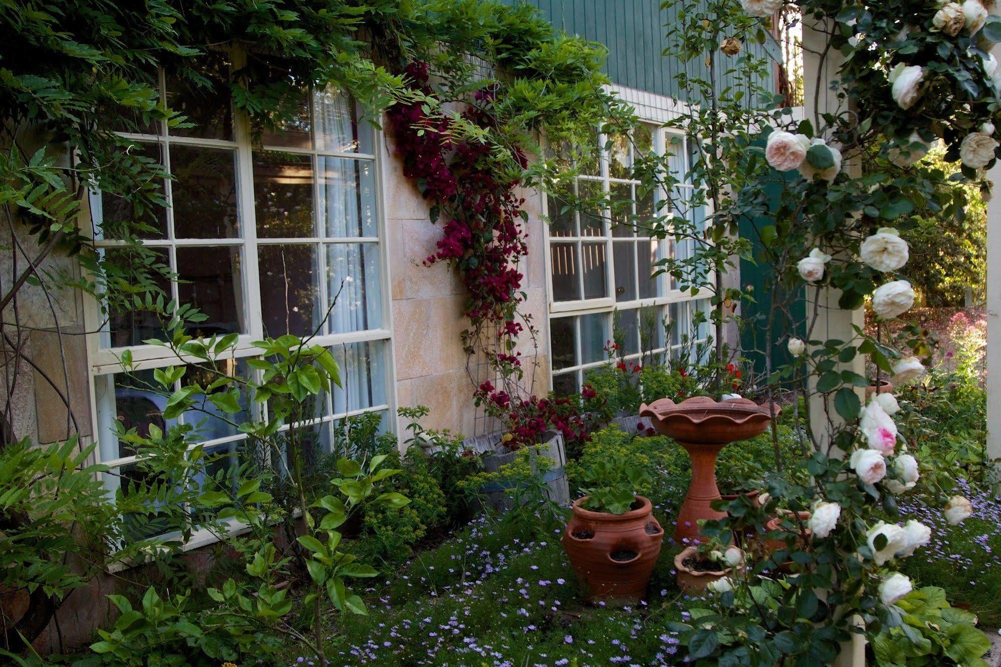 Holly Lane Mews Motell Yarra Glen Exteriör bild